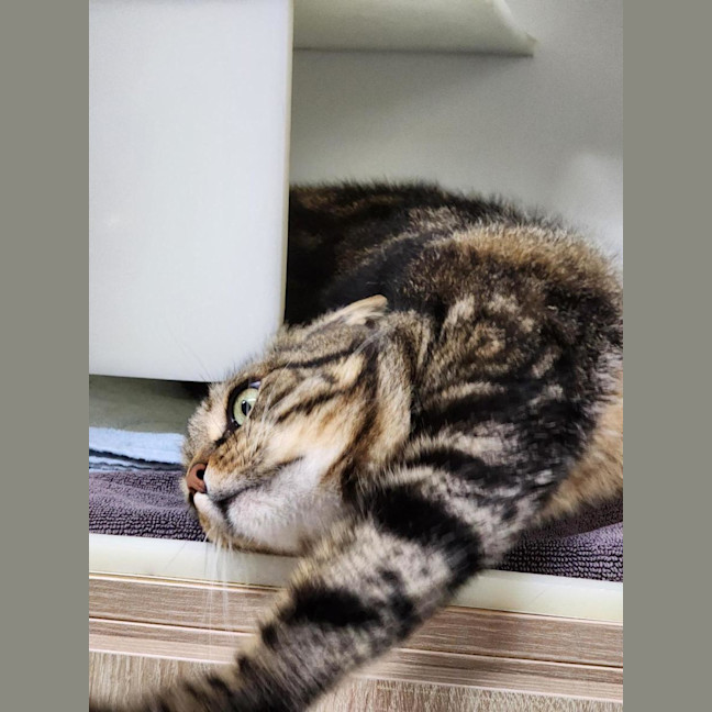 Photo of 🛝 Derek 6784 🛝