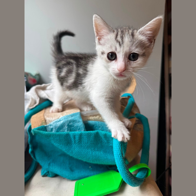 Photo of Gigi