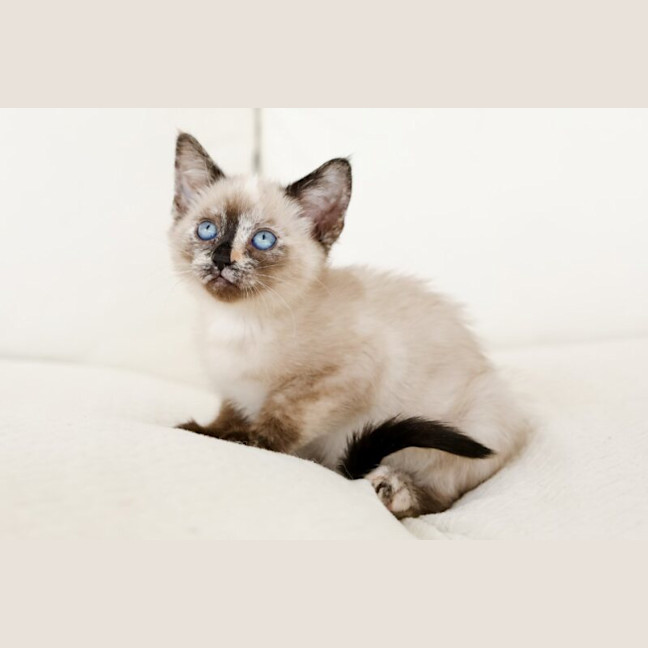 Photo of Winnie