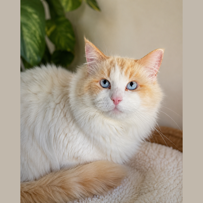 Photo of Big Red