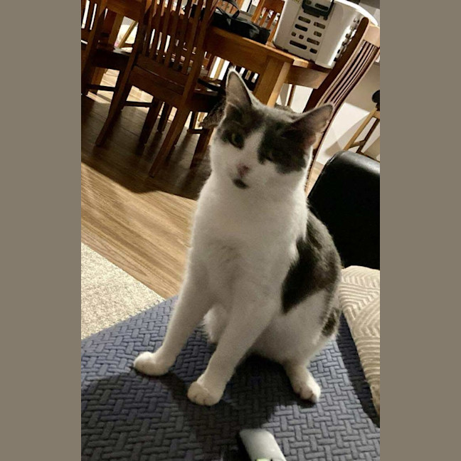 Photo of Delilah