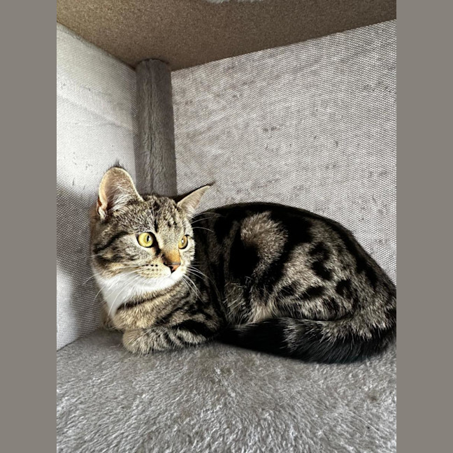 Photo of Angelette