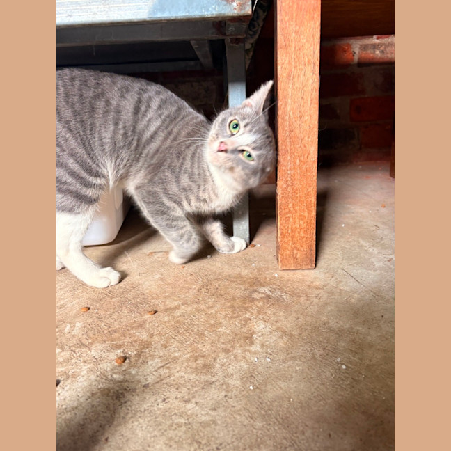 Photo of Rodger