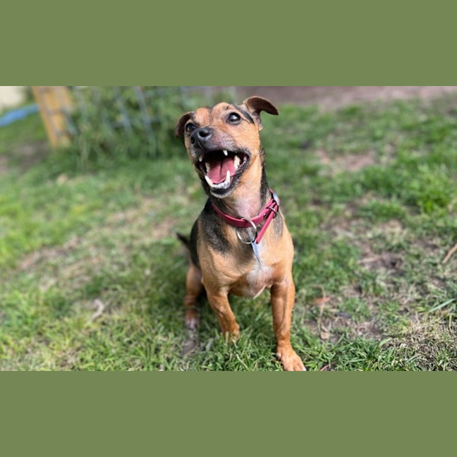 Photo of Peri