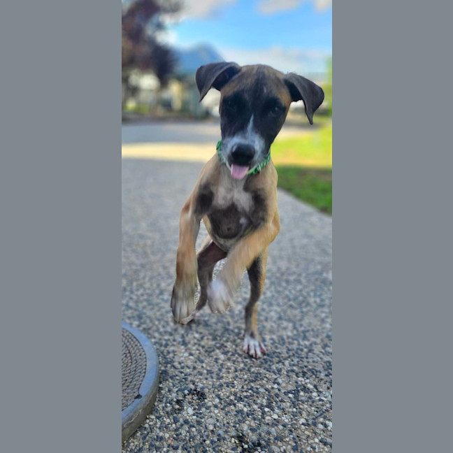 Photo of Eli