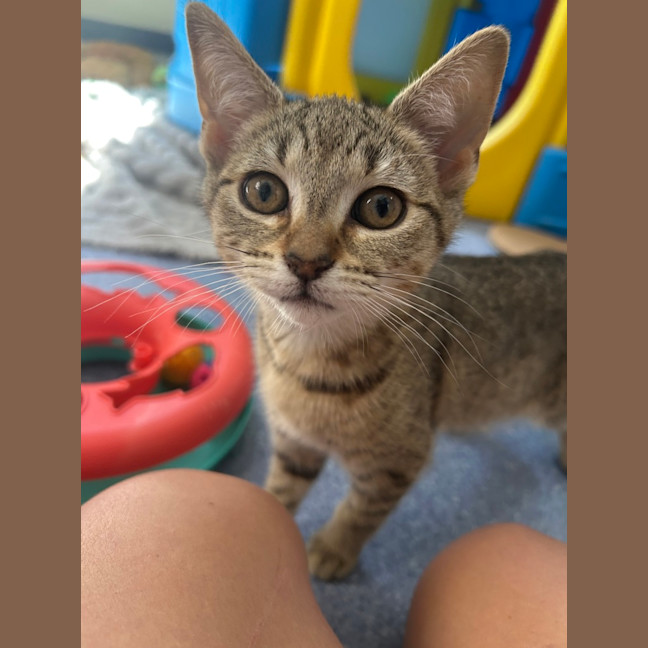 Photo of Adorabelle