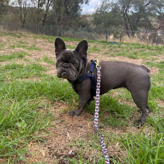 Photo of Gigi