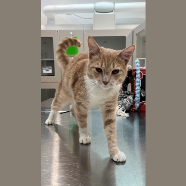 Photo of Floyd (0203)