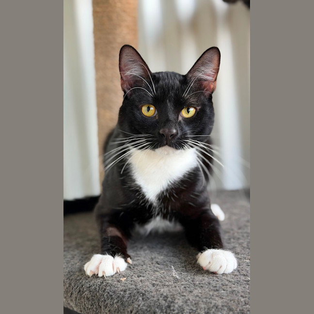 Photo of Tiggy