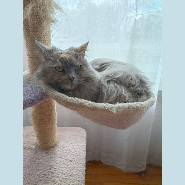 Photo of Matilda 