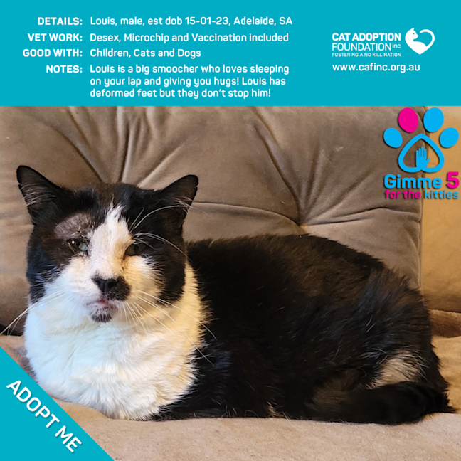 Photo of Louis Only $50 Limited Time!