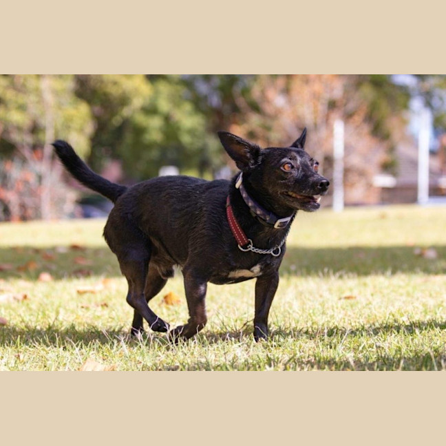 Photo of Basil Moriarty