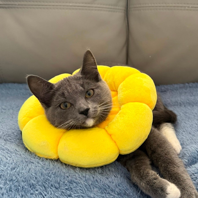 Photo of Arya 🪻💜