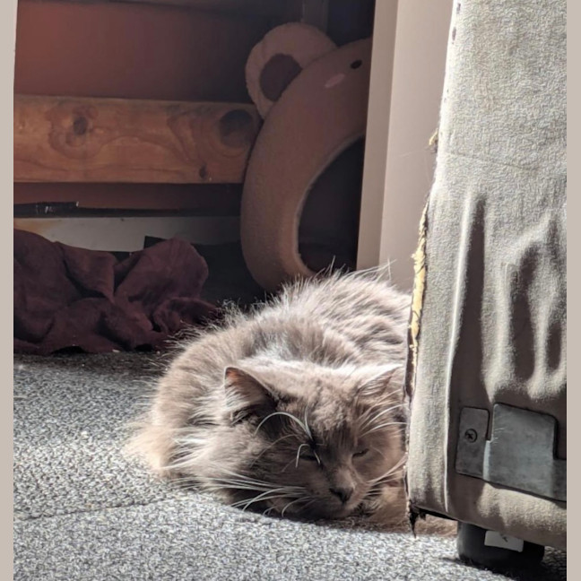 Photo of Betty 