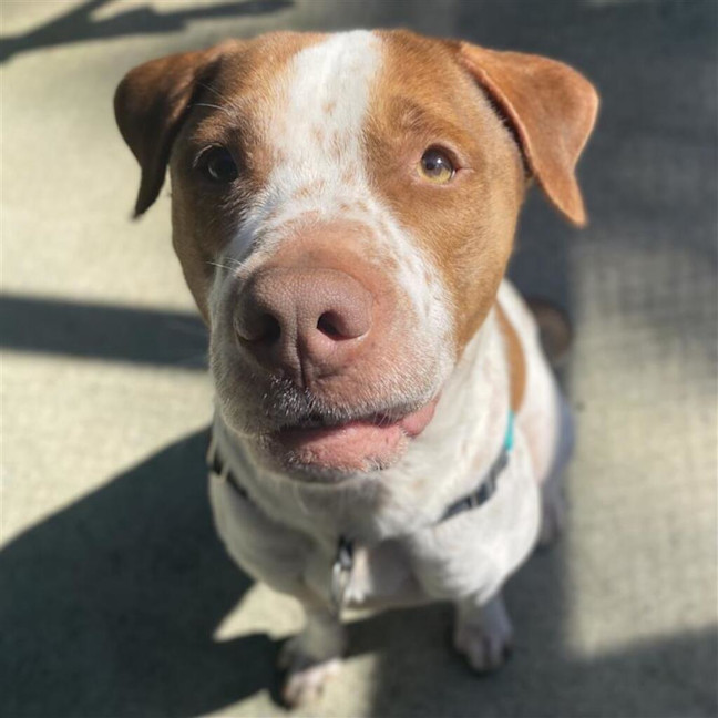 Photo of Slater