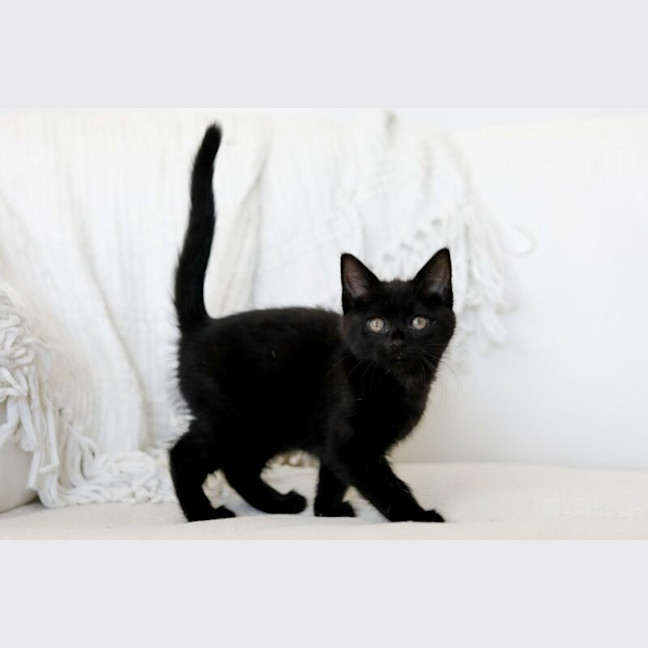 Photo of Nellie