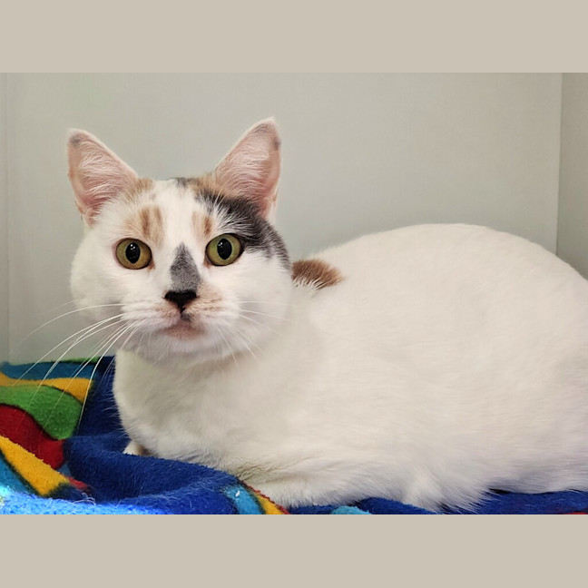 Photo of Betty