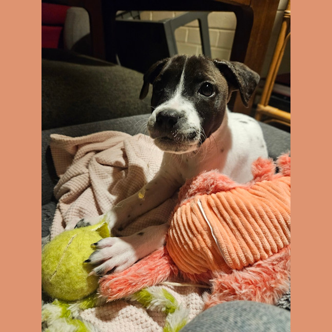 Photo of Dorothy Anne