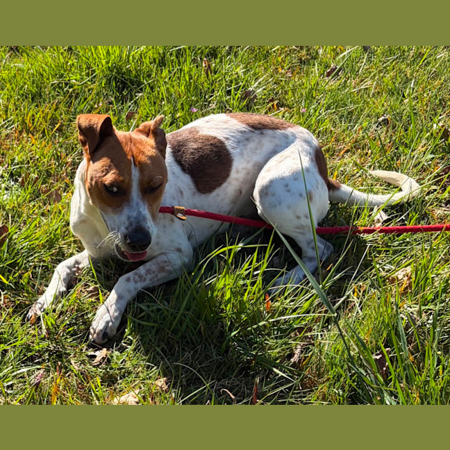 Photo of Roscoe