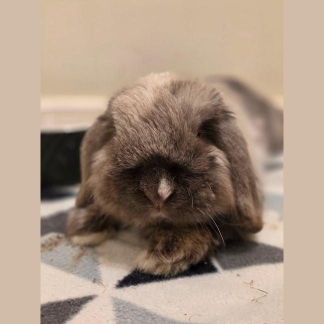 Photo of Theo