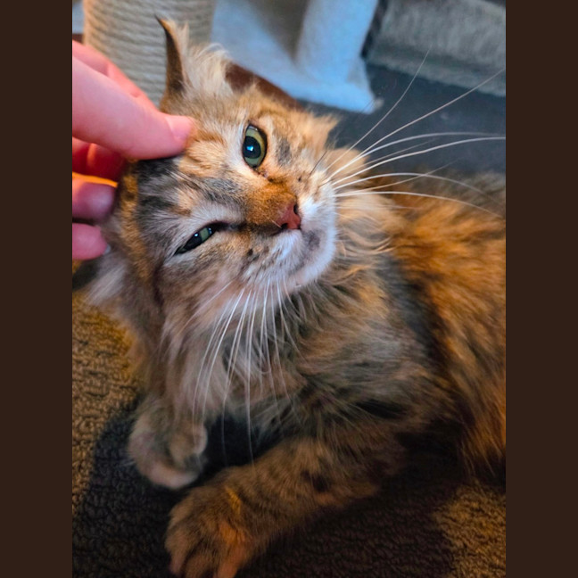 Photo of Carlita