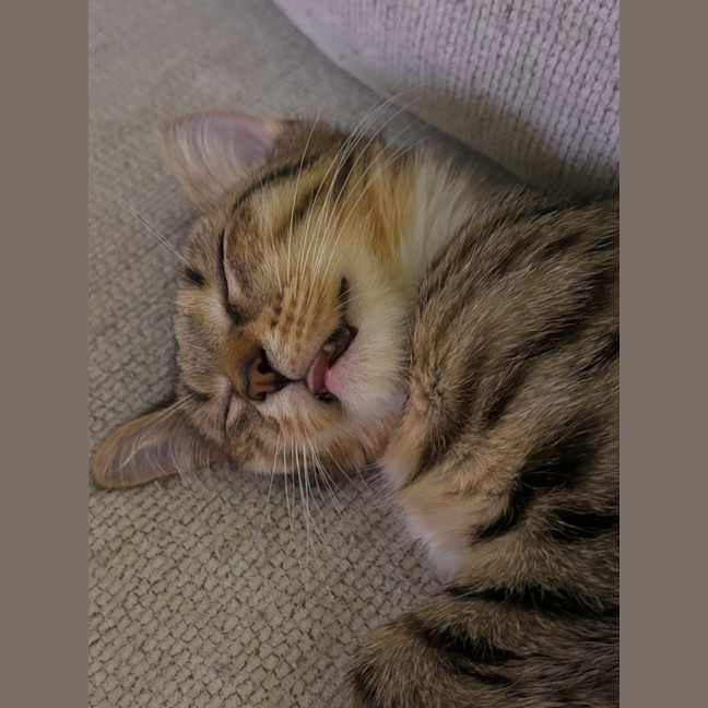 Photo of Boots