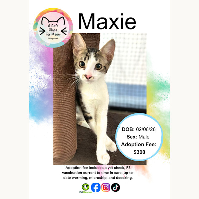 Photo of Maxie