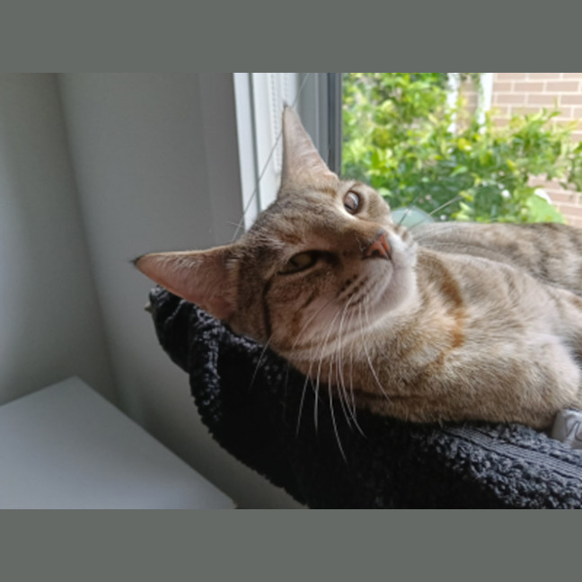 Photo of Dinah