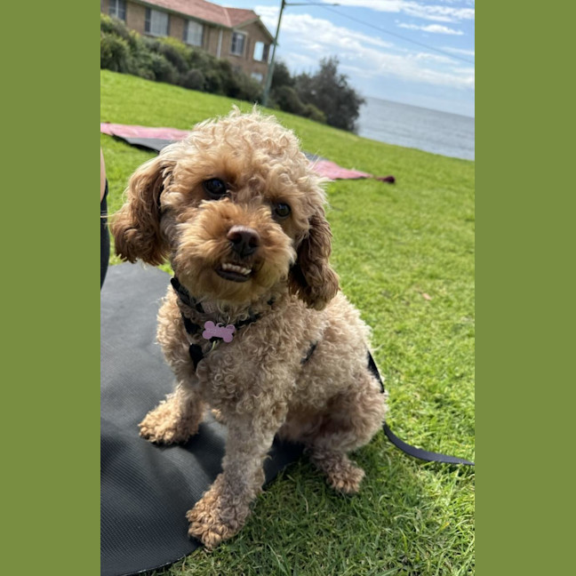 Photo of Bonnie