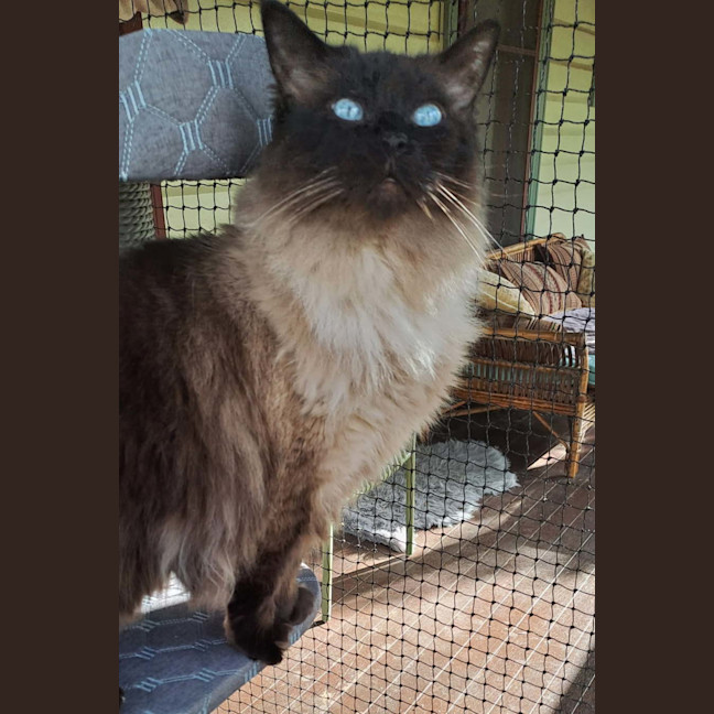 Photo of Hamish 