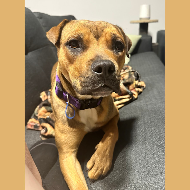 Photo of Mia