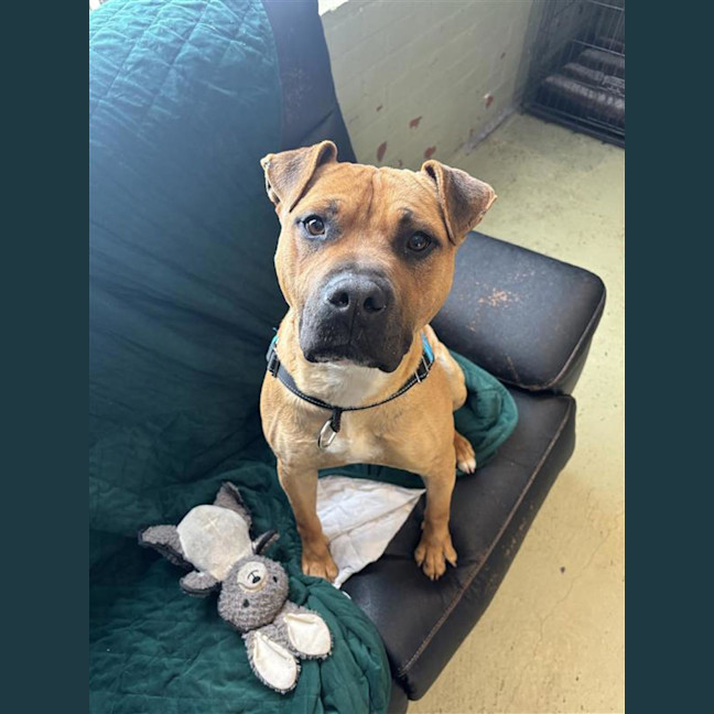 Photo of Tank