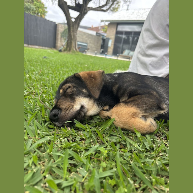 Photo of Theo