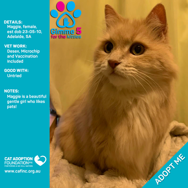 Photo of Maggie Only $39 Limited Time!