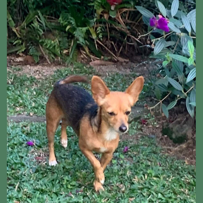 Photo of Tiny