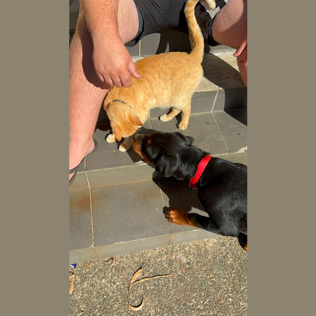 Photo of Baner