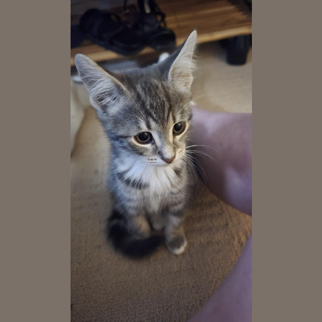 Photo of Jasmine