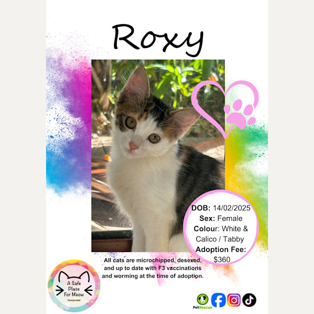Photo of Roxy