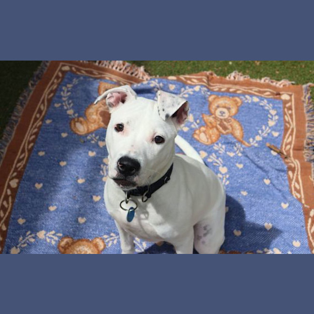 Photo of Missy