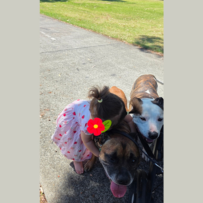 Photo of Bambino And Sammi 