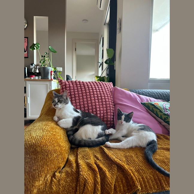 Photo of Denim