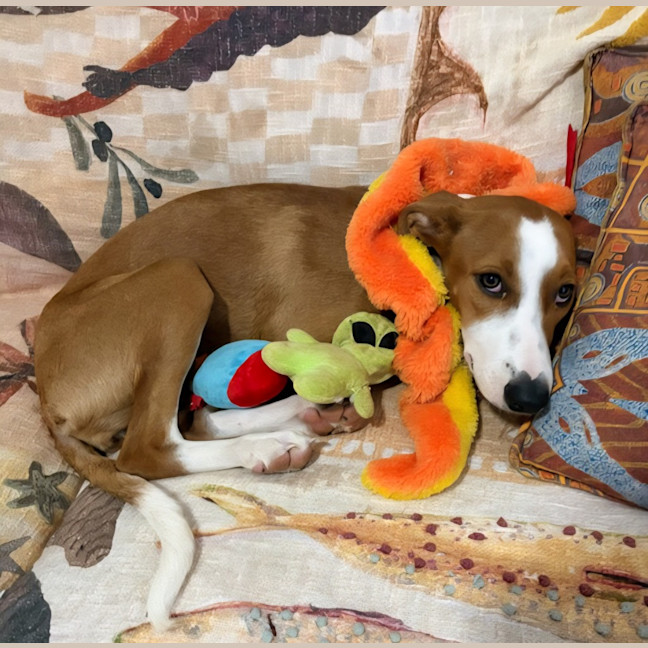 Photo of Marmie