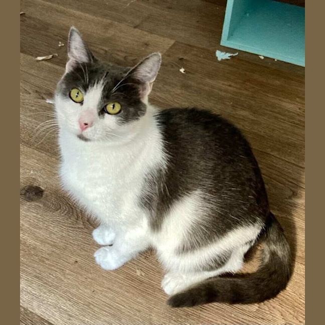 Photo of Delilah