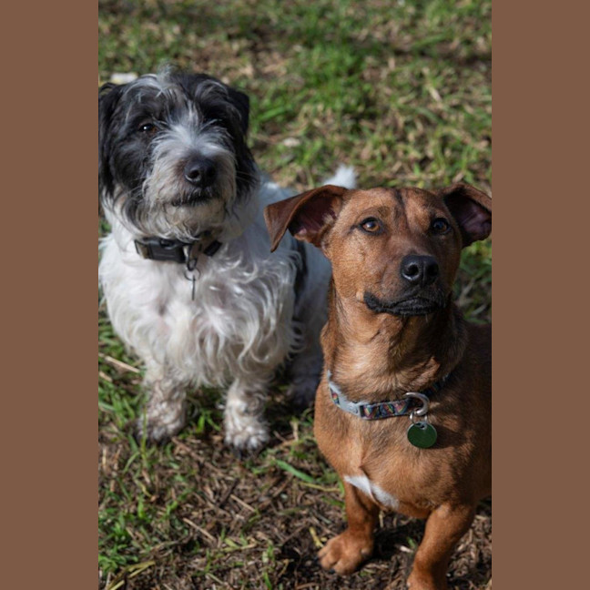 Photo of Bean And Dunkin Russelton