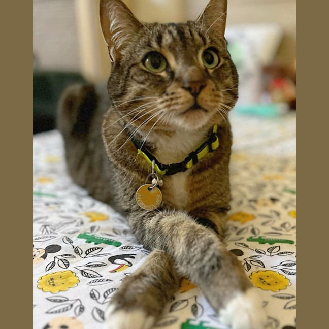 Photo of Harry Styles