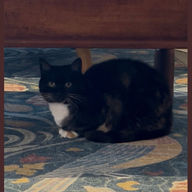 Photo of A Special Little Lady