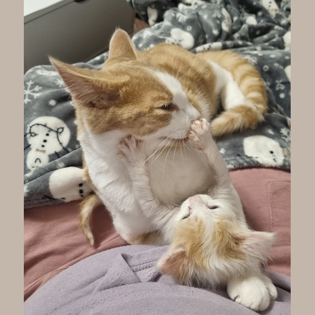 Photo of Dustin & Elliot