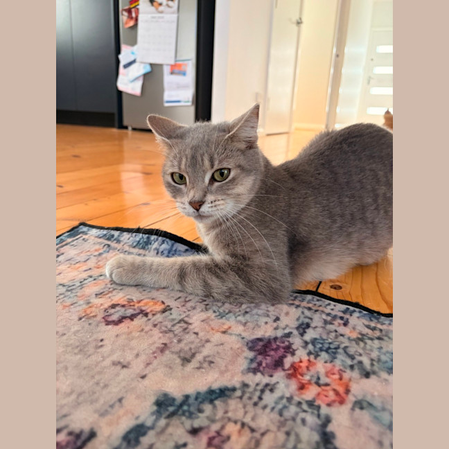 Photo of Patty