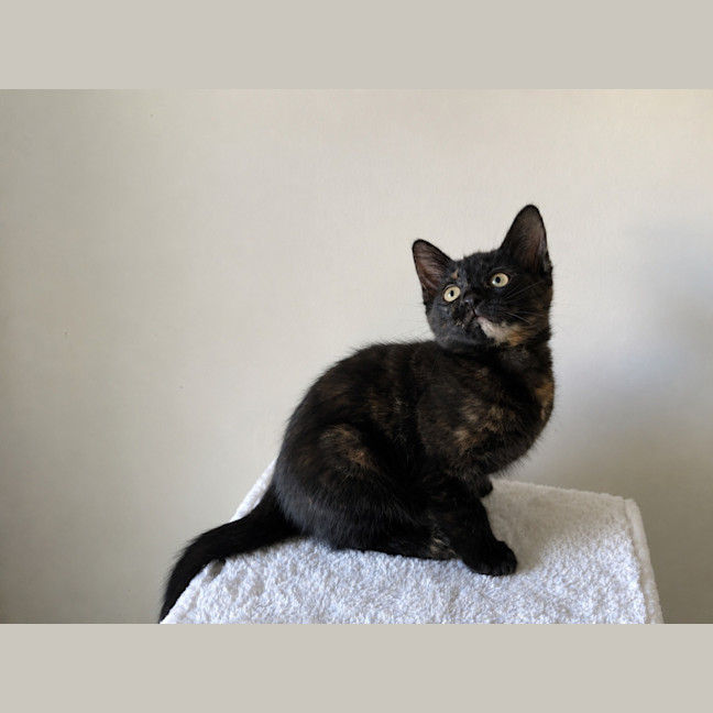 Photo of Ella