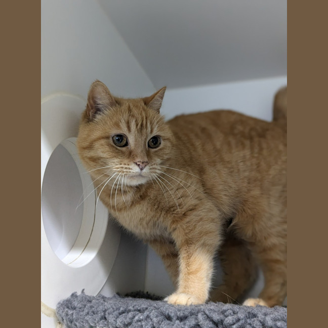 Photo of 🍓 Audrey 5452 🍓